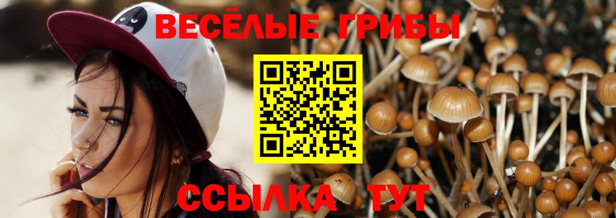 Урай  Псилоцибиновые грибы мицелий  Галлюциногенные грибы прущие грибы  Вход с VPN 
